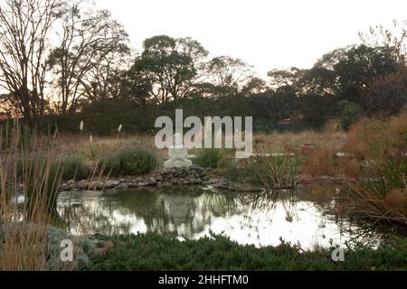 Alte Statue befindet sich neben einem Teich mit Wasser, beleuchtet von den Sonnenstrahlen, die Spiritualität und buddhistische Religion symbolisieren, auf einer von fe umgebenen Wiese Stockfoto