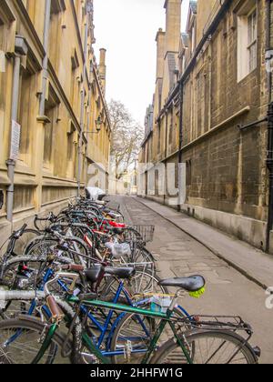 Fahrräder, die in einer schmalen Einbahnstraße in Oxford, England, geparkt sind Stockfoto