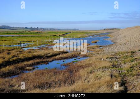 Die Quags, kelling, Nord-norfolk, england Stockfoto