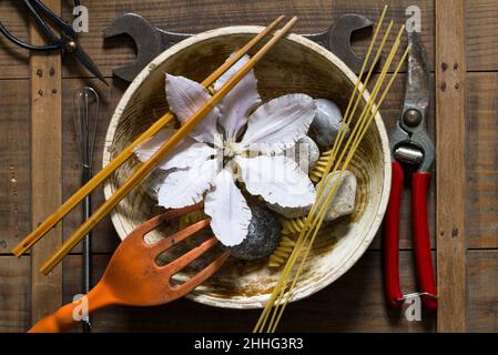 Teller mit Steinen, Blumen und Werkzeugen, Schere als Besteck auf einem Brett angeordnet - symbolisches Stillleben Hintergrundbild von Hunger und Armut Stockfoto