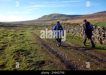 Zwei Männer, die auf dem Track in Silverdale nach Pen-y-ghent (1 der Yorkshire 3 Peaks) von Litton im Yorkshire Dales National Park, England, Großbritannien, wandern. Stockfoto