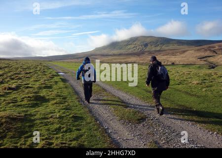 Zwei Männer, die auf dem Track in Silverdale nach Pen-y-ghent (1 der Yorkshire 3 Peaks) von Litton im Yorkshire Dales National Park, England, Großbritannien, wandern. Stockfoto