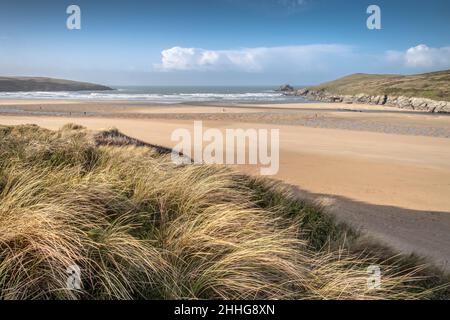 Abendlicht über dem Marram Grass Ammophila arenaria, das auf dem fragilen Sanddünensystem am Crantock Beach in Newquay in Cornwall wächst. Stockfoto