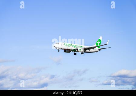 Barcelona, Spanien; 1. November 2021: Boeing 737 der Transavia-Fluggesellschaft, Landung am Flughafen Josep Tarradellas Barcelona-El Prat Stockfoto