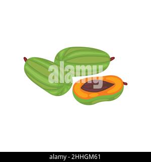 Frucht der Papaya, auf weißem Hintergrund geschnitten, isolierte Vektorgrafik Stock Vektor