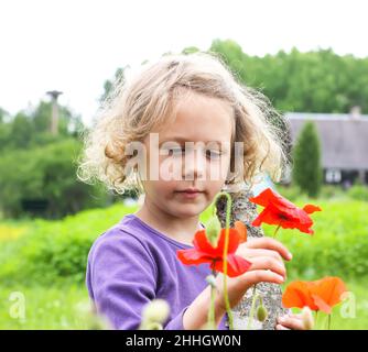 Nettes kleines Mädchen, das im Sommer auf dem Land auf einer Wiese mit blühenden roten Mohnblumen spielt. Stockfoto