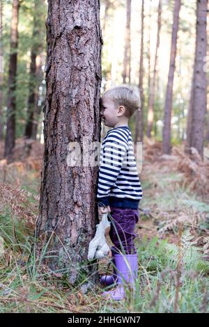 Junge spielt Verstecken und sucht im Wald Stockfoto