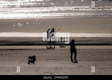 Hundespaziergänger machen einen Spaziergang an einem sonnenverwöhnten West Wittering Beach, Chichester, Großbritannien Stockfoto