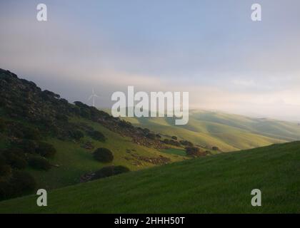 Regionale Parks SF Bay Stockfoto