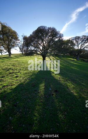 Regionale Parks SF Bay Stockfoto