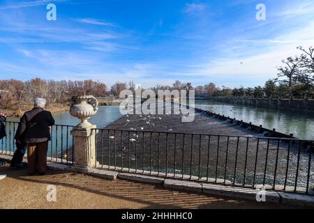 Blick auf den Fluss Tajo von Jardín de la Isla, Aranjuez, Madrid, Spanien Stockfoto