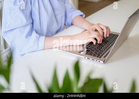 Die Designerin in der blau gestreiften Bluse arbeitet fernab von zu Hause auf einem modernen Laptop am weißen Tisch mit grünen Blättern in der Nahaufnahme im Vordergrund Stockfoto