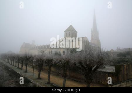 Abbaye de St Savin , Dept 86, Poitou-Charente, Frankreich Stockfoto