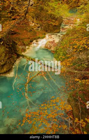 Nacedero del rio Urederra (Sierra de Urbasa-Andia) Navarra Stockfoto