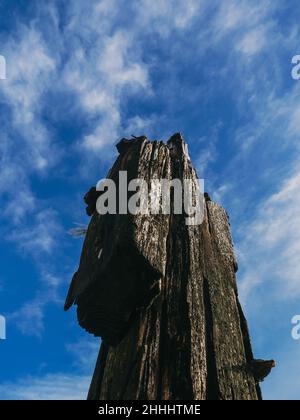 Alte hölzerne Anlegestelle am Steinbruchstrand, Llŷn Peninsula, Wales Stockfoto