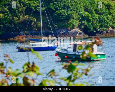 Boote vor Anker in Bantry Bay Stockfoto