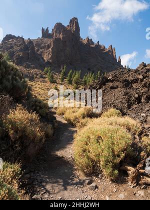Auf dem Wanderweg Red de Senderos TF18, verlassen Juan Evora Museum, in Boca Tauce, Teneriffa Teide Nationalpark. Stockfoto