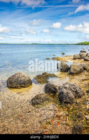 John Pennekamp Coral Reef State Park in Key Largo, Florida, USA Stockfoto