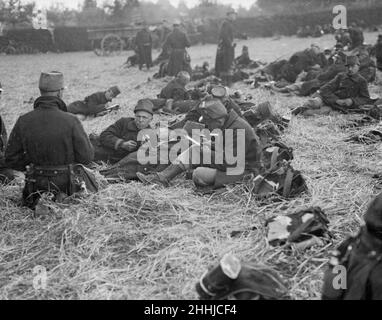 Belgische Soldaten auf einem Feld in der Nähe von Louvain gesehen 16th. August 1914 Stockfoto