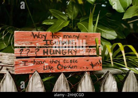 Humorvolles Zeichen in Key West, Florida, FL USA. „viel zu viele Iguanas“ Island Urlaubsziel. Stockfoto