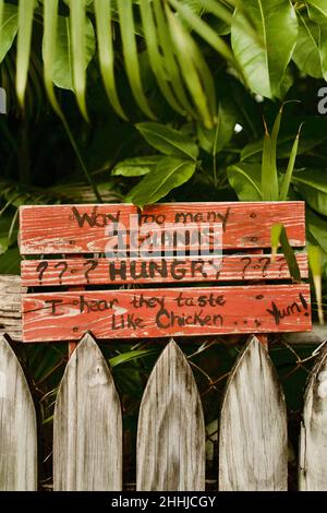 Humorvolles Zeichen in Key West, Florida, FL USA. „viel zu viele Iguanas“ Island Urlaubsziel. Stockfoto