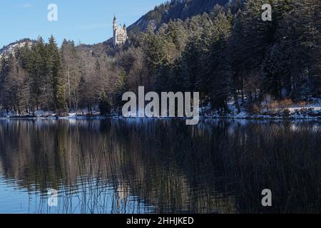 Blick im Winter vom teilweise eisbedeckten Alpsee auf das königliche Schloss Neuschwanstein von König Ludwig II. Stockfoto