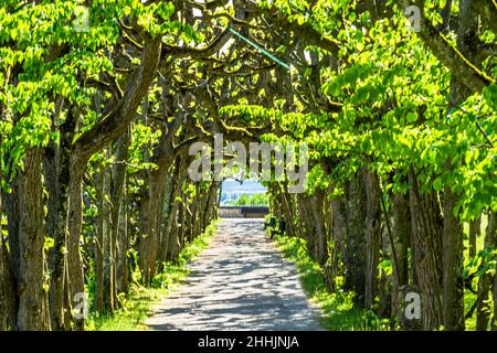 Hofgarten neben Schloss Dachau in Dachau, Bayern Stockfoto