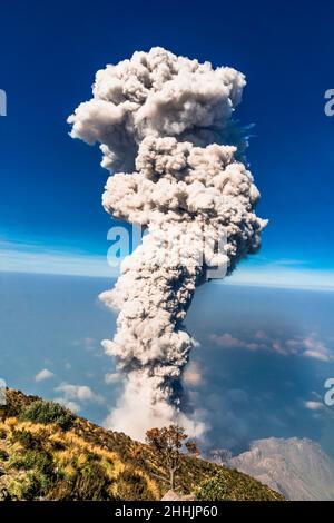 Ausbruch des Vulkanes Santiaguito von Santa Maria durch Quetzaltenango in Guatemala Stockfoto