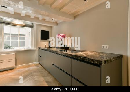 Geräumige, moderne, helle Küche mit grauen Theken aus Holz mit eingebautem Herd und Schränken, die auf Parkettboden und Dekoration platziert sind Stockfoto