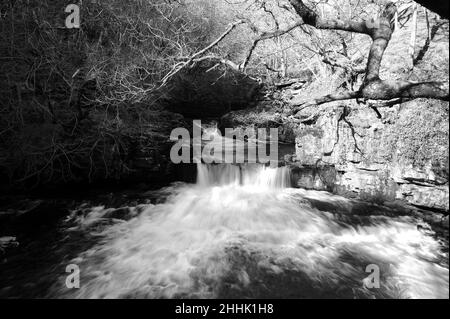 Letzter Wasserfall auf der Afon Mellte. Direkt oberhalb der alten Schießpulver-Werke bei Pontneddfechan. Stockfoto