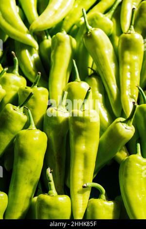Von oben voller Rahmen von reifen rohen grünen anaheim Paprika zusammen auf Stand in lokalen Markt mit hellem Sonnenlicht platziert Stockfoto