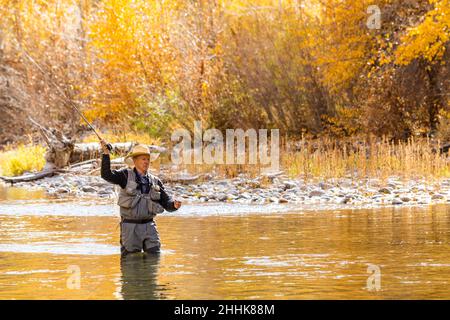 USA, Idaho, Bellevue, Senior man Fliegenfischen im Big Wood River im Herbst Stockfoto