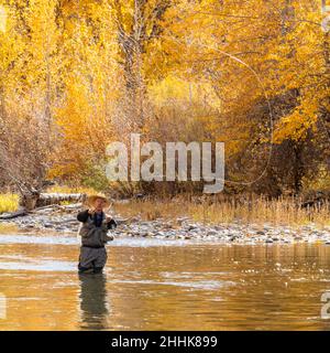 USA, Idaho, Bellevue, Senior man Fliegenfischen im Big Wood River im Herbst Stockfoto