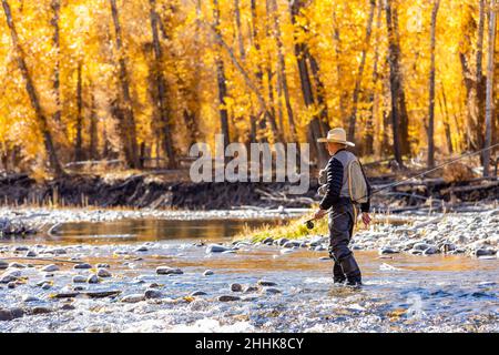 USA, Idaho, Bellevue, Senior Fisherman waten im Big Wood River im Herbst Stockfoto