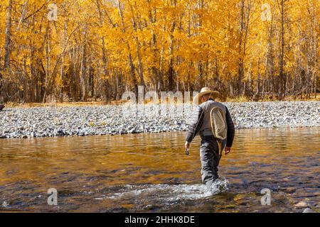 USA, Idaho, Bellevue, Rückansicht eines älteren Fischers beim Wattfahren im Big Wood River im Herbst Stockfoto