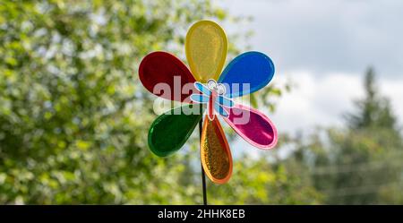 Drehbewegung der Windmühle. Bunte Wetterfahne auf natürlichem Hintergrund. Luftfahne unterwegs Stockfoto