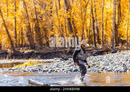 USA, Idaho, Bellevue, Senior Fisherman waten im Big Wood River im Herbst Stockfoto