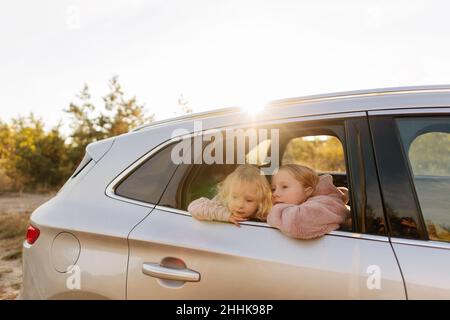 Niedliche Schwestern in legerer Kleidung, die aus dem Fenster schauen, während sie auf einer gemeinsamen Fahrt im Auto auf dem Land mit grünen Pflanzen sitzen Stockfoto