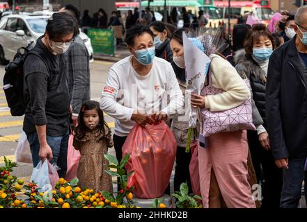 Hongkong, China. 23rd Januar 2022. Auf einem Blumenmarkt kaufen die Menschen vor dem bevorstehenden chinesischen Neujahrsfest 2022 des Tigers in Hongkong am 23. Januar 2022 Kumquat-Bäume, auch als Mandarinenbäume bekannt. Die Hongkonger Regierung führte erneut strengere soziale Beschränkungen durch Covid ein, die Schulen, Unternehmen und öffentliche Plätze bis nach dem chinesischen Neujahrsfeiertag und den Feierlichkeiten zur Schließung zwingen, um die Ausbreitung der Omicron-Variante zu kontrollieren, da die Strategie der Regierung auf Null Infektionen in der Stadt abzielt. Kredit: SOPA Images Limited/Alamy Live Nachrichten Stockfoto