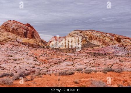 Overton, Nevada, USA - 24. Februar 2010: Valley of Fire. Landschaft mit verschiedenen Schattierungen von roten, gelben, rosa und braunen Felsen unter starkem regnerischen Himmel. D Stockfoto