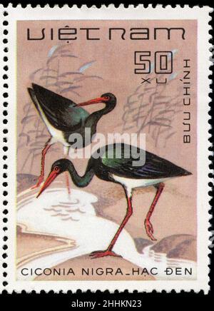 Briefmarke aus Vietnam in der Birds-Serie, die 1983 herausgegeben wurde Stockfoto