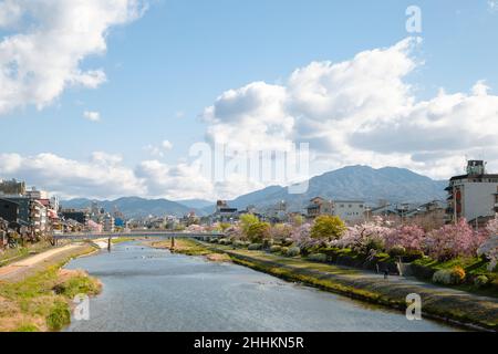 Pontocho Straße und Kamo Fluss im Frühling in Kyoto, Japan Stockfoto