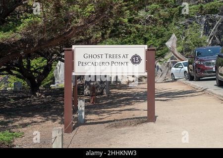 Schild für Geisterbäume am Pescadero Point entlang des 17 Mile Drive, Pebble Beach, Kalifornien, 4. September 2021. Foto mit freundlicher Genehmigung von Sftm. Stockfoto