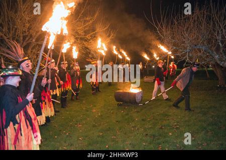 Wassailing im Michelham Priory, Sussex 2022 Segnung der Obstgärten, um eine gute Ernte für das Jahr zu gewährleisten. Bild Terry Apply Stockfoto