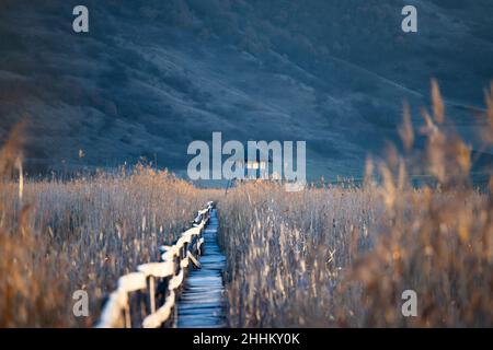 Alte Holzpromenade mit Geländer an der Seite und Wachturm im sic Schilf Reservat, Cluj, Rumänien Stockfoto