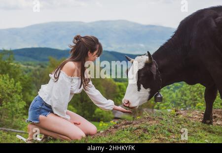 Glückliche Frau, die Kuh füttert. Mädchen füttert schwarze und weiße Kuh auf der Wiese. Veganes, vegetarisches Konzept. Genießen Sie Gemüse. Gesunde Lebensweise, Bio-Feld milka Stockfoto