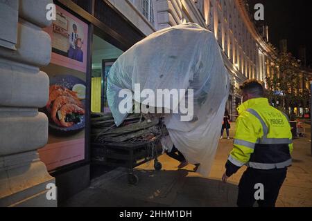 Regenwaldbäume, von denen einige 5m hoch und voll belaubt sind, kommen mit einem beheizten arktischen Lastwagen zur Vorbereitung auf die Green Planet AR Experience in der Regent Street 55 in London an. Bilddatum: Montag, 24. Januar 2022. Stockfoto