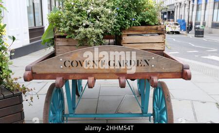 23. Oktober 2021 - Covent Garden London: Charmanter Schubkarre mit Pflanzenkisten Stockfoto