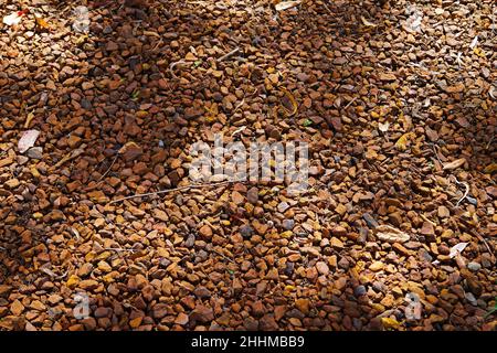 Braune Kieselsteine Hintergrund, Minas Gerais, Brasilien Stockfoto