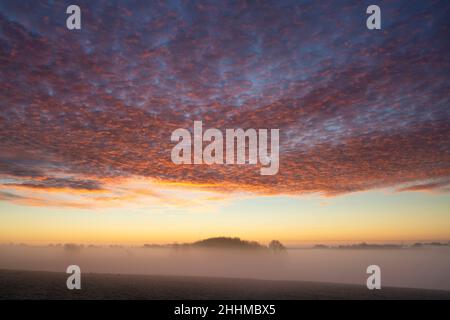 Winter roten Himmel und Nebel kurz vor Sonnenaufgang in der frostigen cotswold Landschaft. Hampnet, Cotswolds, Gloucestershhire, England Stockfoto